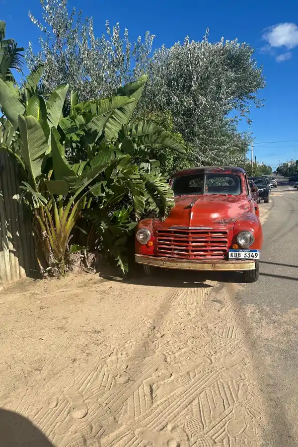 LG Play lanza Lifestyle: una guía para un estilo de vida consciente y saludable