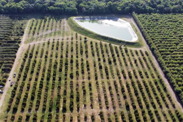 Robo de agua: el imputado deberá regresar de Europa y pagar una caución de $100 millones