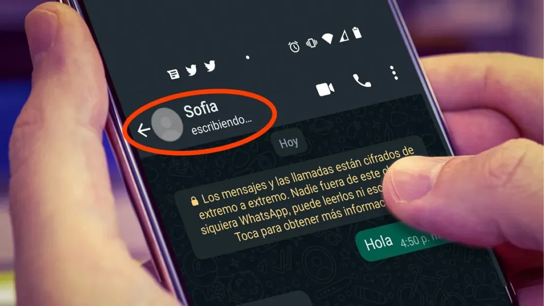 WhatsApp ultra privado: cómo quitar los avisos escribiendo... y en línea