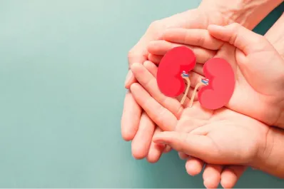 Cinco hábitos muy frecuentes que dañan la salud de tus riñones sin darte cuenta