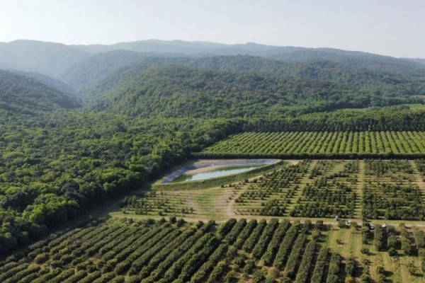 Robo de agua: “No estamos a favor de un acuerdo, vamos por la máxima pena”, anticipó Jaldo