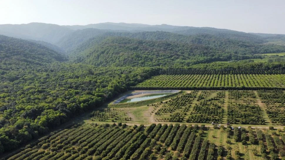 LA PRUEBA MÁS IMPORTANTE. La laguna artificial que fue construida en la finca que está a nombre del productor Juan Zamora. Gentileza Pablo Salcedo