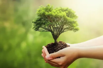 CREA midió la huella de carbono y plantarán 1.000 árboles