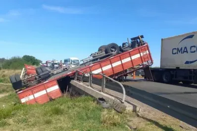 Un camión con vacas volcó en la ruta 9 y los vecinos aprovecharon para faenarlas