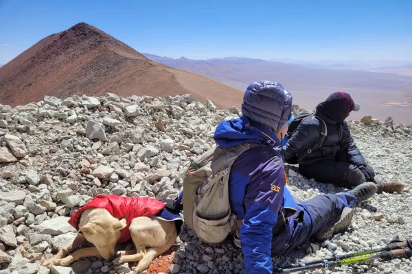 Ratones: cómo es conquistar la cima de un volcán casi olvidado, junto a una mascota