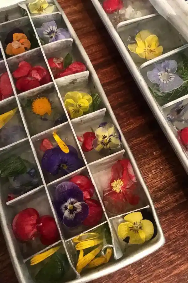 Flores comestibles: de las culturas antiguas a la cocina moderna