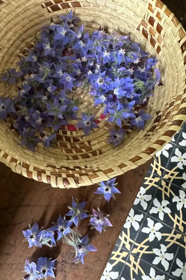 Tener un jardín de flores comestibles es posible