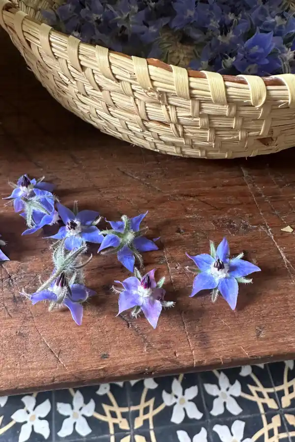 Tener un jardín de flores comestibles es posible