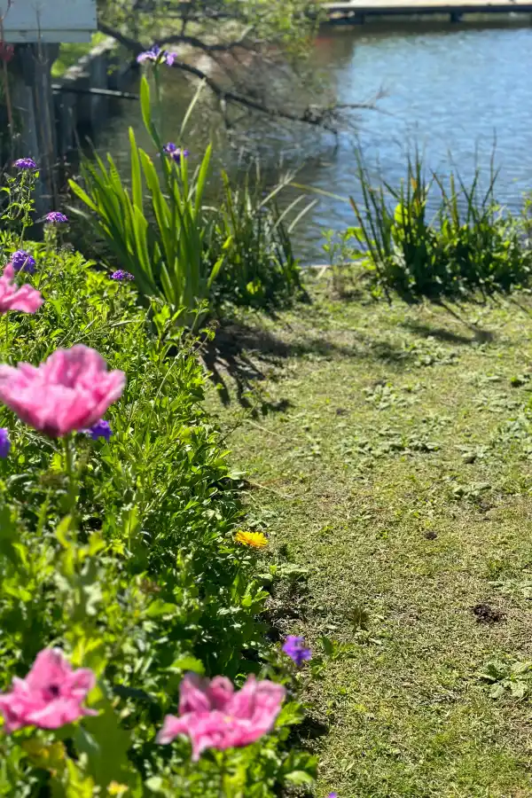 Tener un jardín de flores comestibles es posible