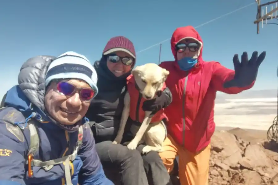 Alejandro Martínez, Enrique Cabrera, Julieta Balza y la perrita Payunia