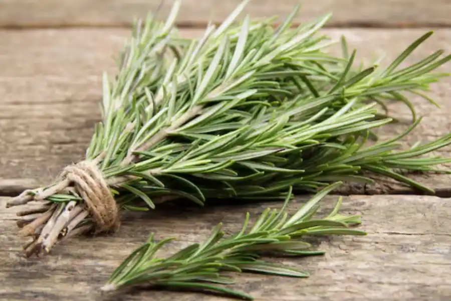 El poderoso té que mejora la digestión y previene la caída del cabello