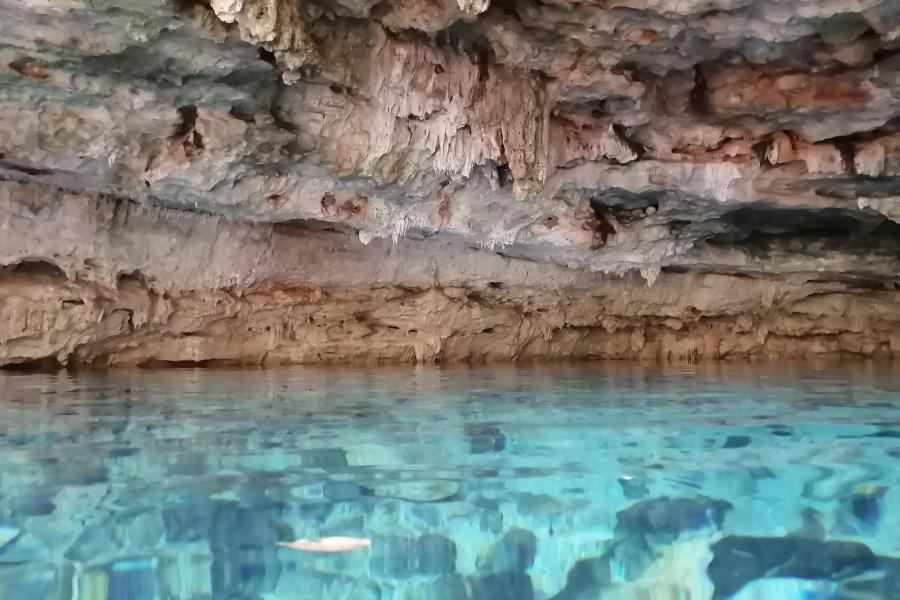 El cenote de Dzombakal es una cueva submarina formada en piedra caliza.