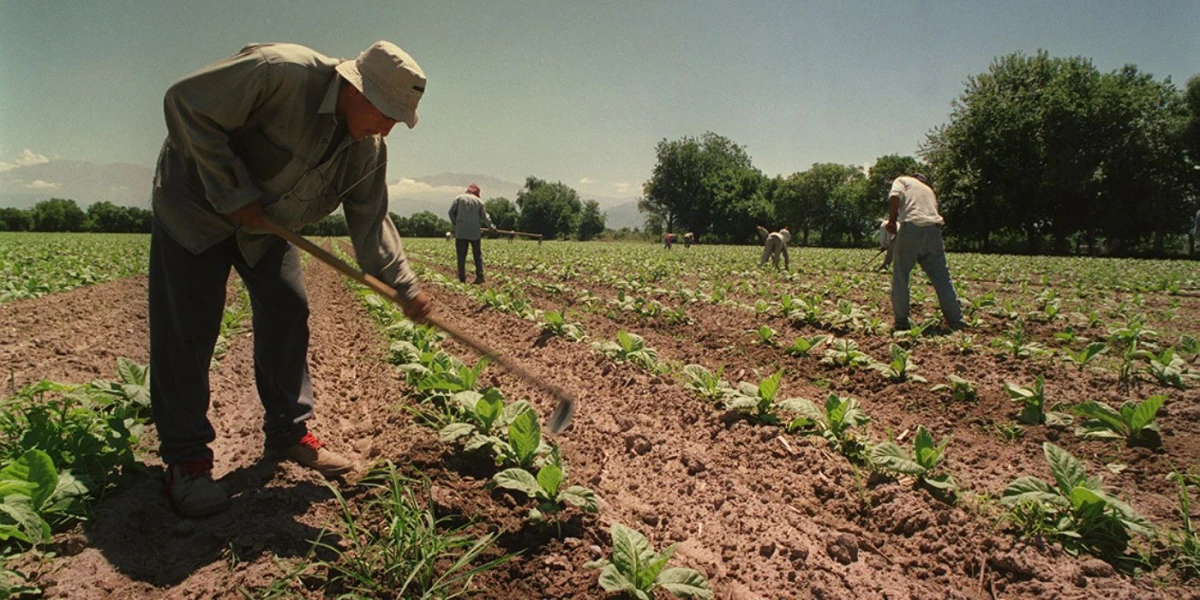 En Argentina hoy se celebra el Día del Trabajador Rural.