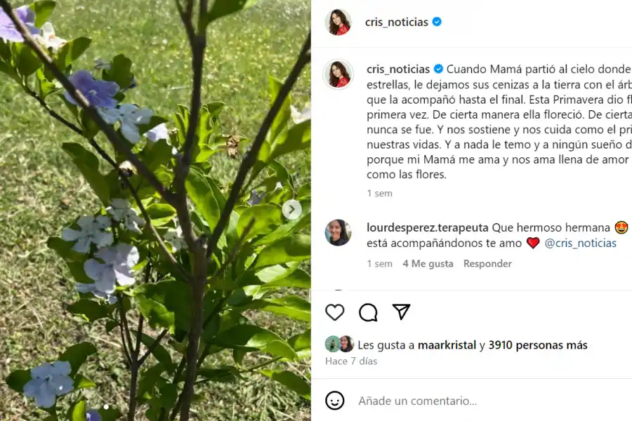 El posteo de Cristina Pérez en Instagram.