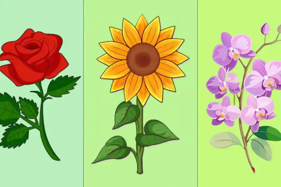 Un test de personalidad que es furor en las redes sociales.