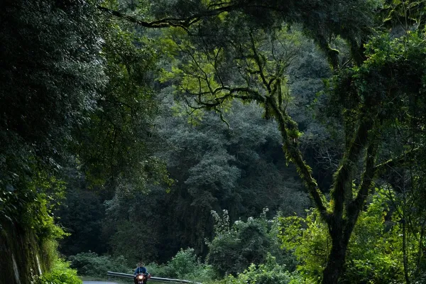 Tucumán abre una convocatoria para recibir opiniones sobre la postulación de las Yungas ante la Unesco