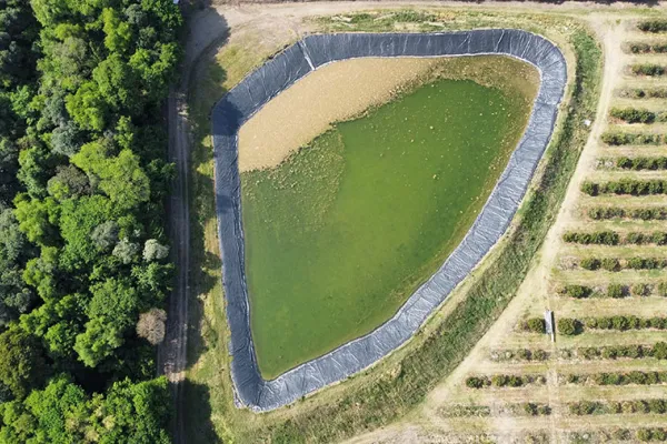 Robo de agua: Zamora se pone hoy a disposición de la Justicia