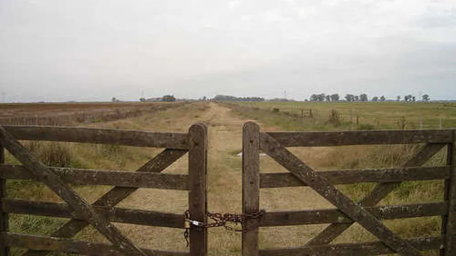 Apronor denuncia una ola de robos en el campo