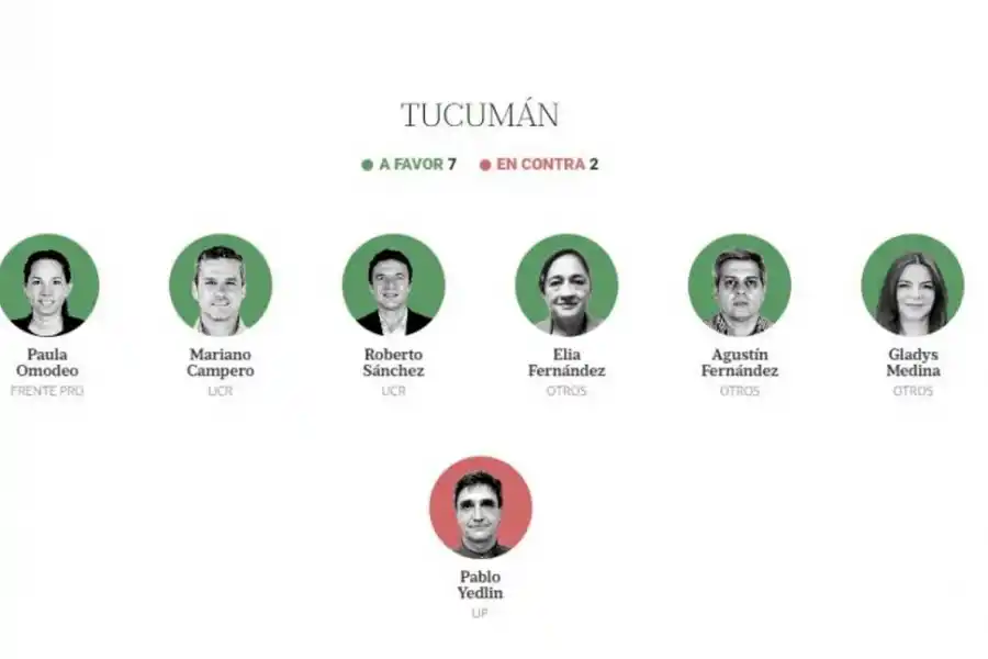 El rol que tuvieron los diputados tucumanos en tres temas calientes en los que ganó Milei