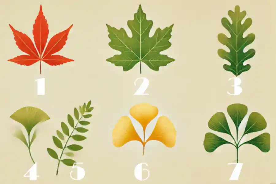 Un test de personalidad que es furor en las redes sociales.