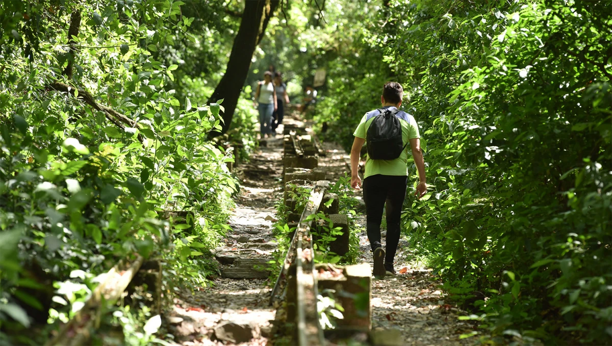 CAMINATA POR LAS YUNGAS. La jornada estará ideal para un recorrido por los foniculares en Horco Molle.