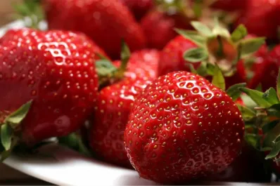 ¿Cómo hacer que las frutillas duren más tiempo en la heladera?