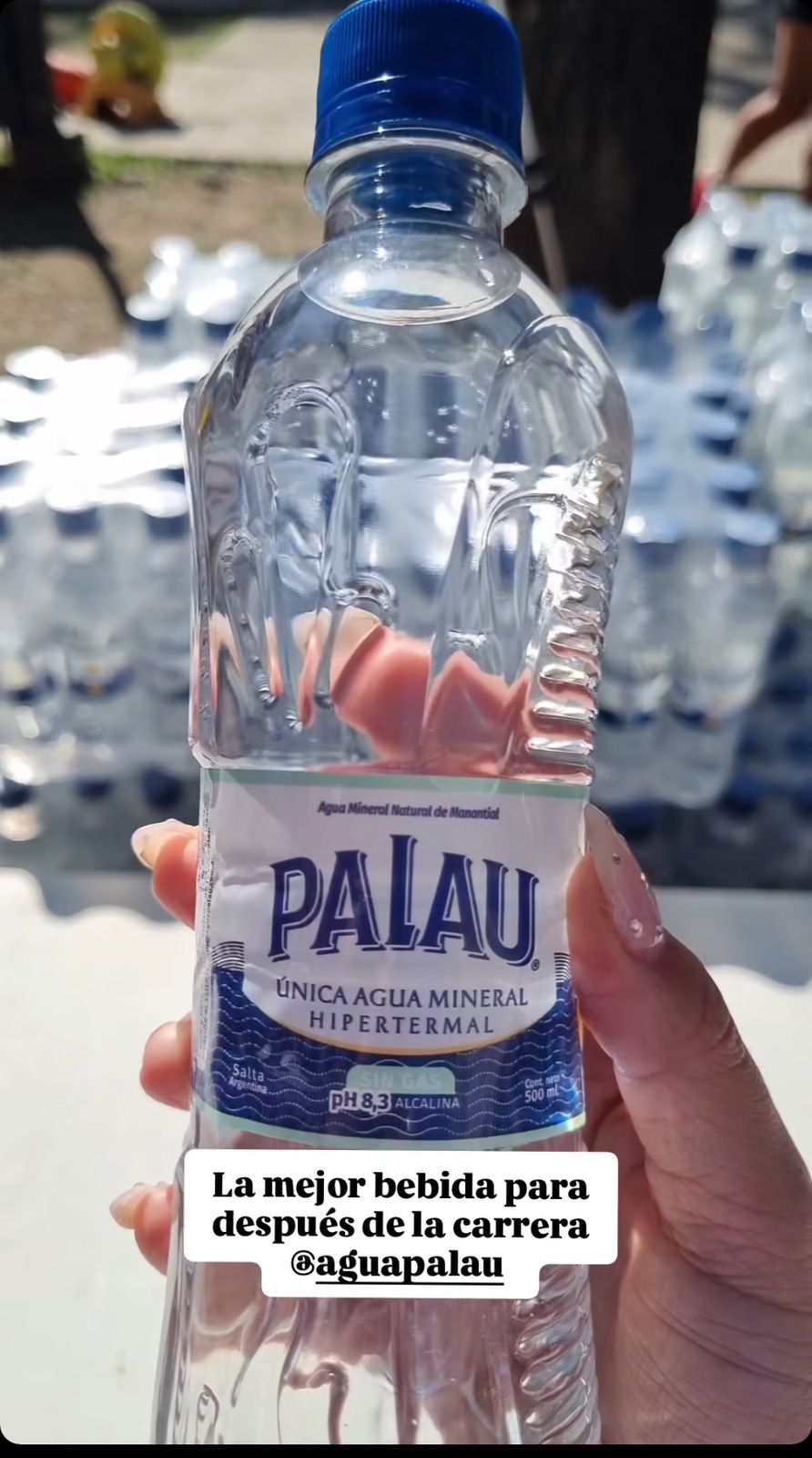 AGUA MINERAL PALAU