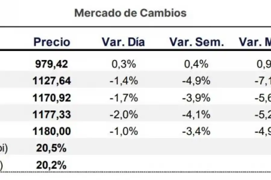 Milei, entre la primavera cambiaria y el verano sin cepo