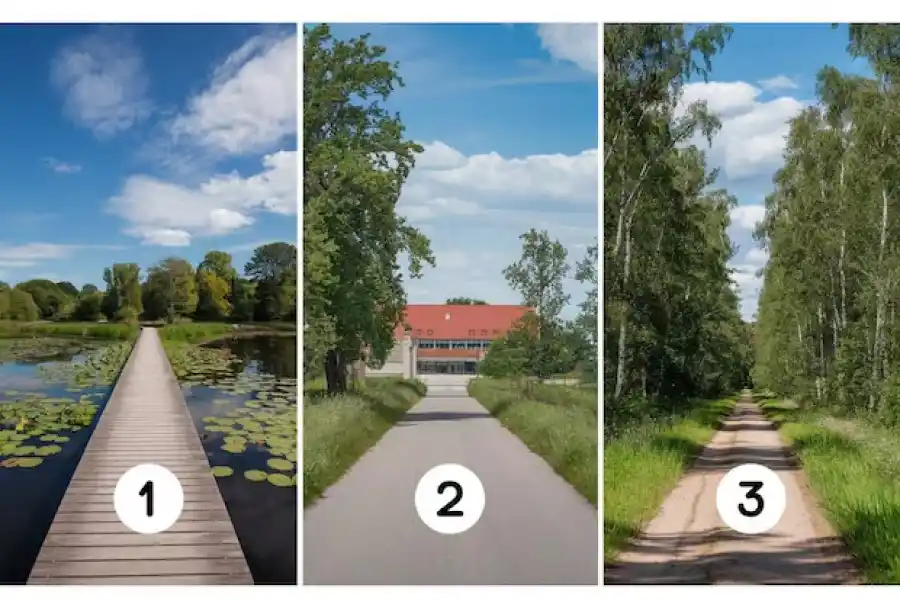 Un test de personalidad que es furor en las redes sociales.