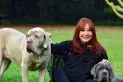 Horóscopo chino: cómo será la segunda quincena de octubre para cada signo, según Ludovica Squirru