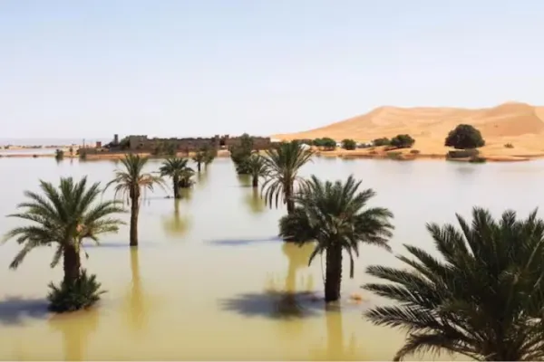 600x400_se-inundo-sahara-dos-dias-cayo-equivalente-mas-ano-lluvia-sureste-marruecos-1055838-074311.webp