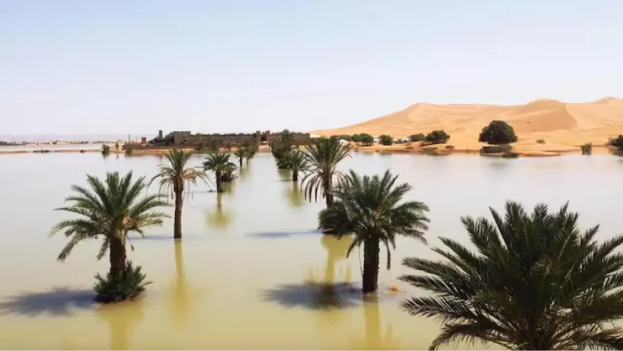 Se inundó el Sahara: en dos días cayó el equivalente a más de un año de lluvia en el sureste de Marruecos