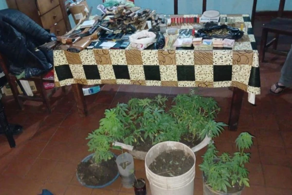 Desarticulan una banda que vendía armas y tenía más de 100 plantas de marihuana