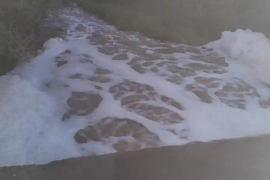 BAJO ESTUDIO. Una imagen del agua que llevaba el canal de riego.