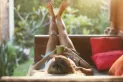 Realizar esta actividad los fines de semana puede reducir un 20% el riesgo de padecer enfermedad cardíaca