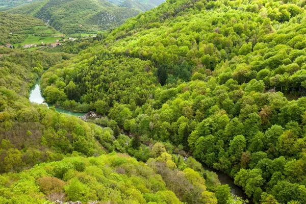 Colombia invita a hacer la “paz con la naturaleza”