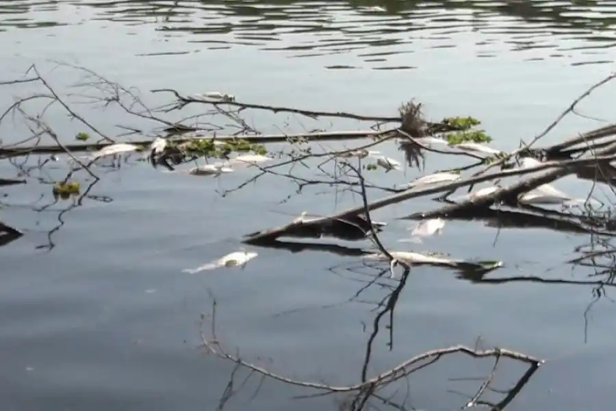 Aseguran que estaba contaminada el agua del canal que llegó al pueblo de El Palomar