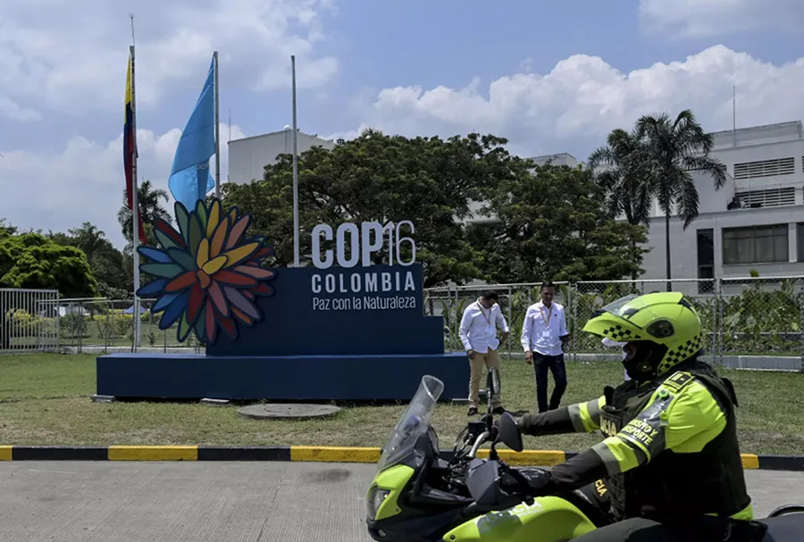 ANHELO MUNDIAL. El lema del encuentro es “Paz con la naturaleza”.  