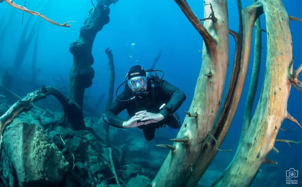 El mágico pueblo de la Patagonia que esconde un bosque acuático que pocos conocen