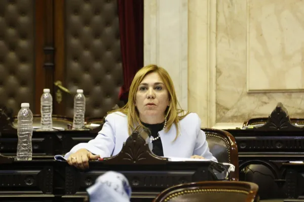 Beatriz Avila, entre los parlamentarios que más proyectos presentaron en el Senado