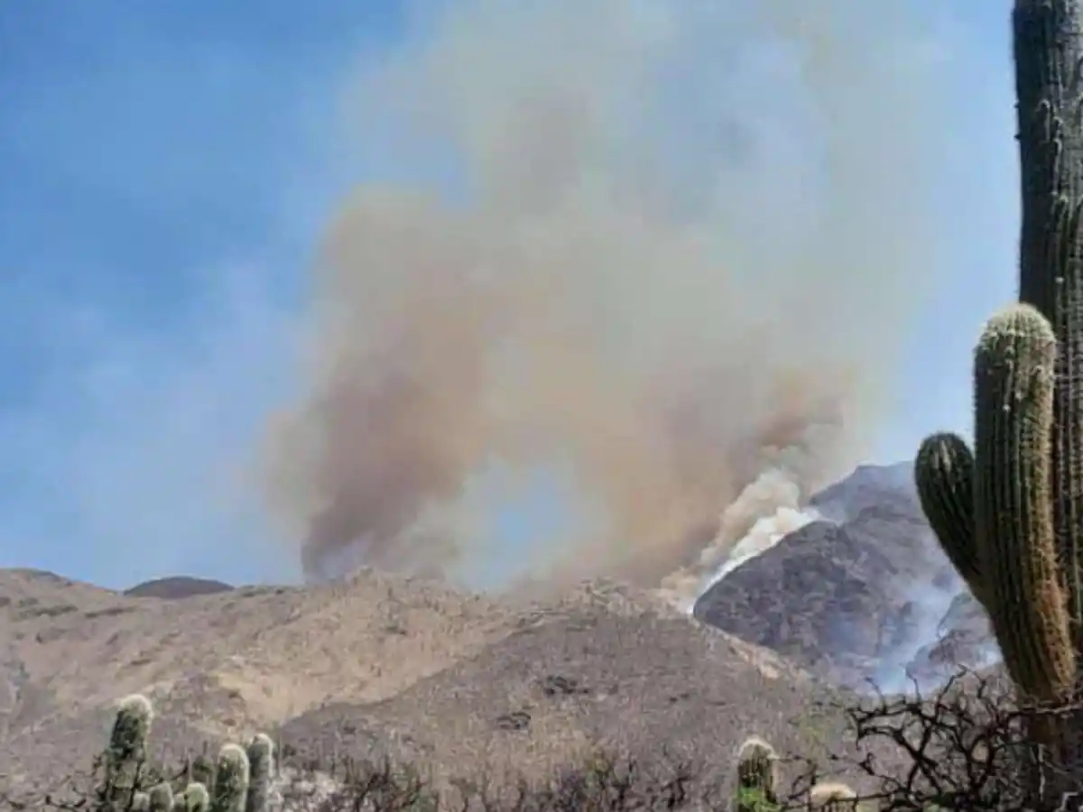 Máxima preocupación: incendio descontrolado en el Cerro Quilmes