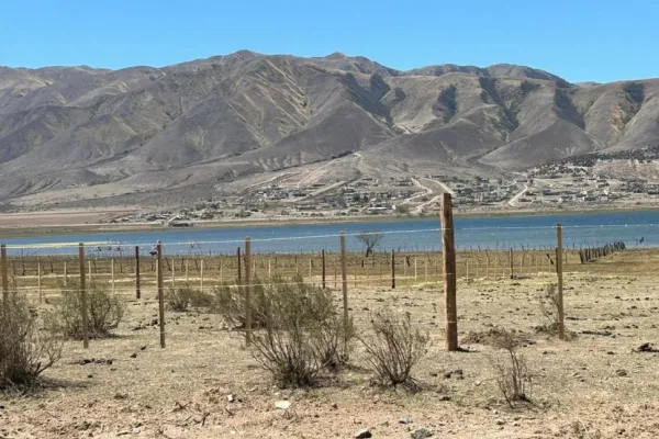 Ersept ordenó a EDET y la SAT que se abstengan que habilitar servicios en tierras fiscales