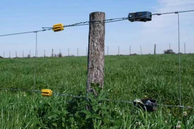En tres lustros, la Pampa perdió casi 1.300 km de alambrado