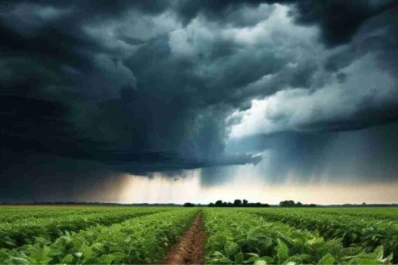 Las lluvias “dieron vuelta el partido contra la sequía”