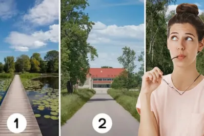 Test de personalidad: elegí un camino y descubrió qué empujón necesitás para cumplir tus objetivos