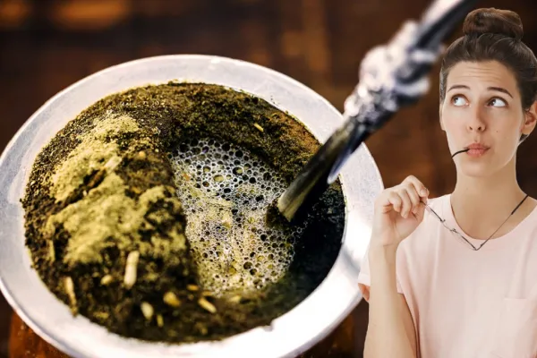 Esta hierba para el mate te ayudará a reducir el cansancio y desinflamar el abdomen