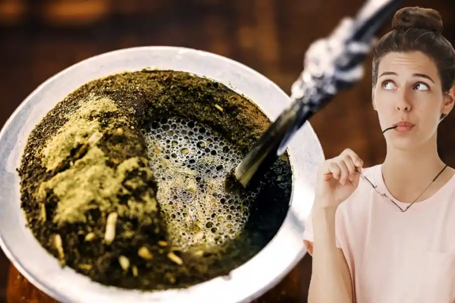 Esta hierba para el mate te ayudará para aliviar los dolores