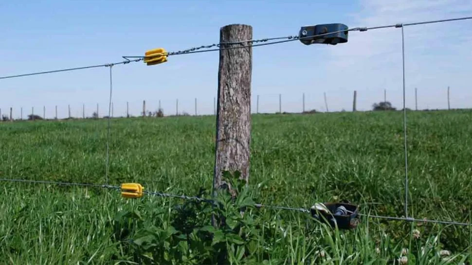 En tres lustros, la Pampa perdió casi 1.300 km de alambrado