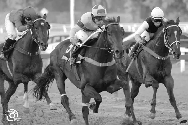Grooving se tomó revancha