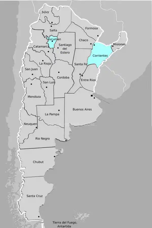 En auto de Tucumán a Brasil: cuáles son las rutas y los paso fronterizos que más convienen